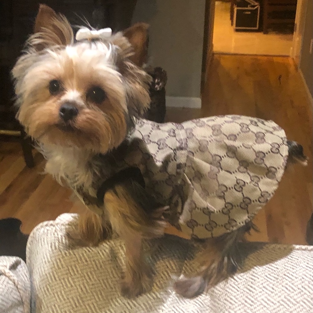 Doggy dress. All sizes